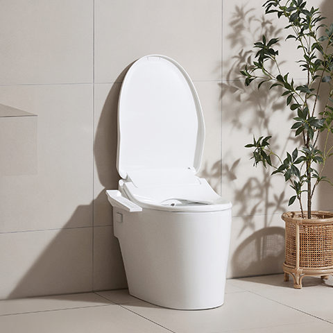 올클린 케어 비데