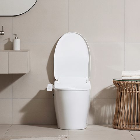 올클린 케어 비데